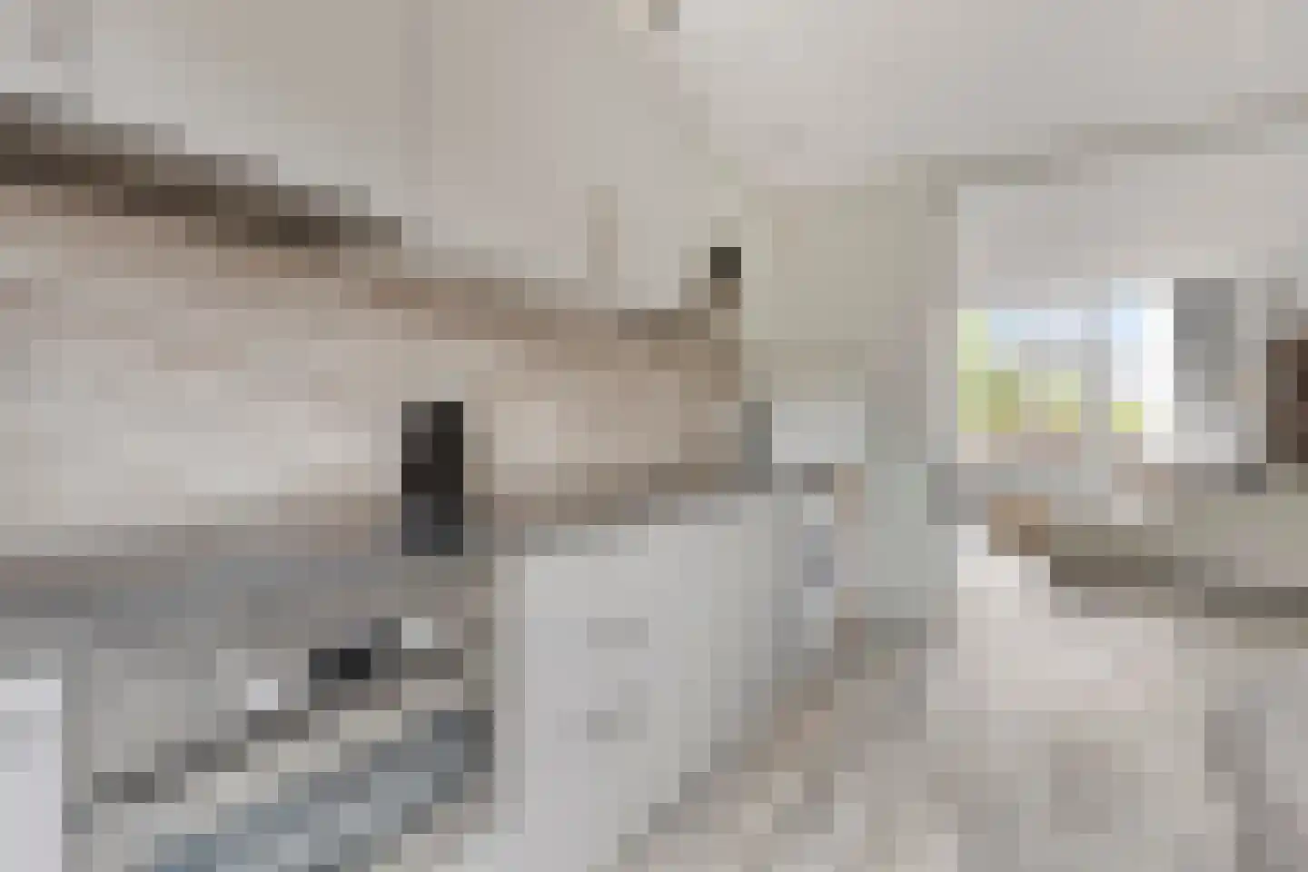 Ceintuurbaan 147 Rotterdam thumbnail 18