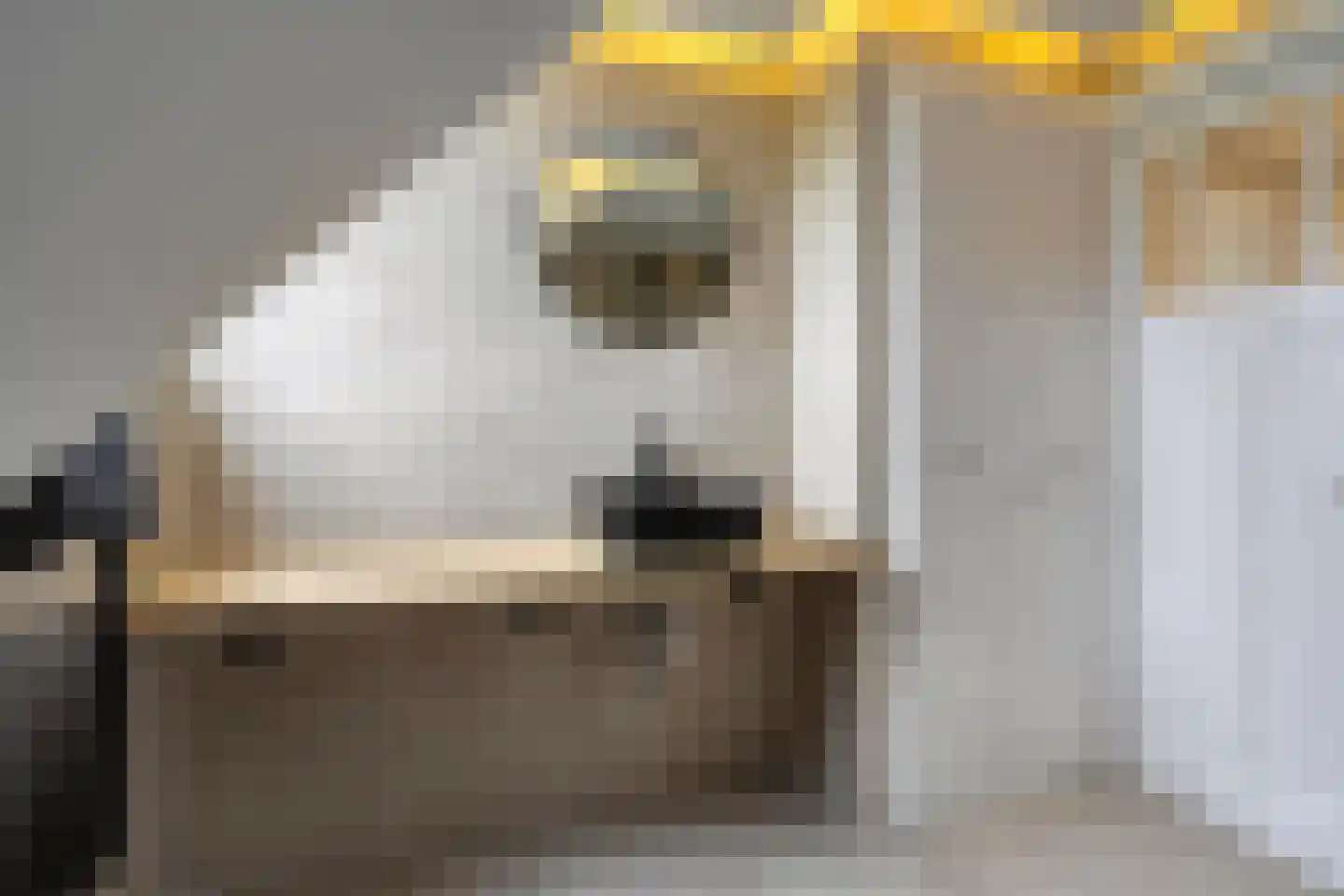 Ceintuurbaan 147 Rotterdam thumbnail 32