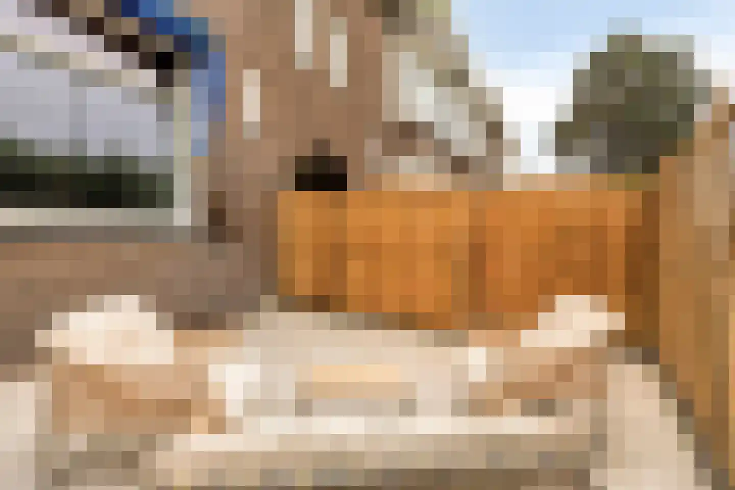Ceintuurbaan 147 Rotterdam thumbnail 8
