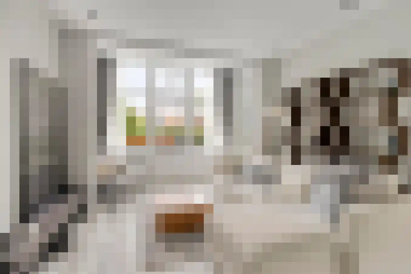 Ceintuurbaan 147 Rotterdam thumbnail 9