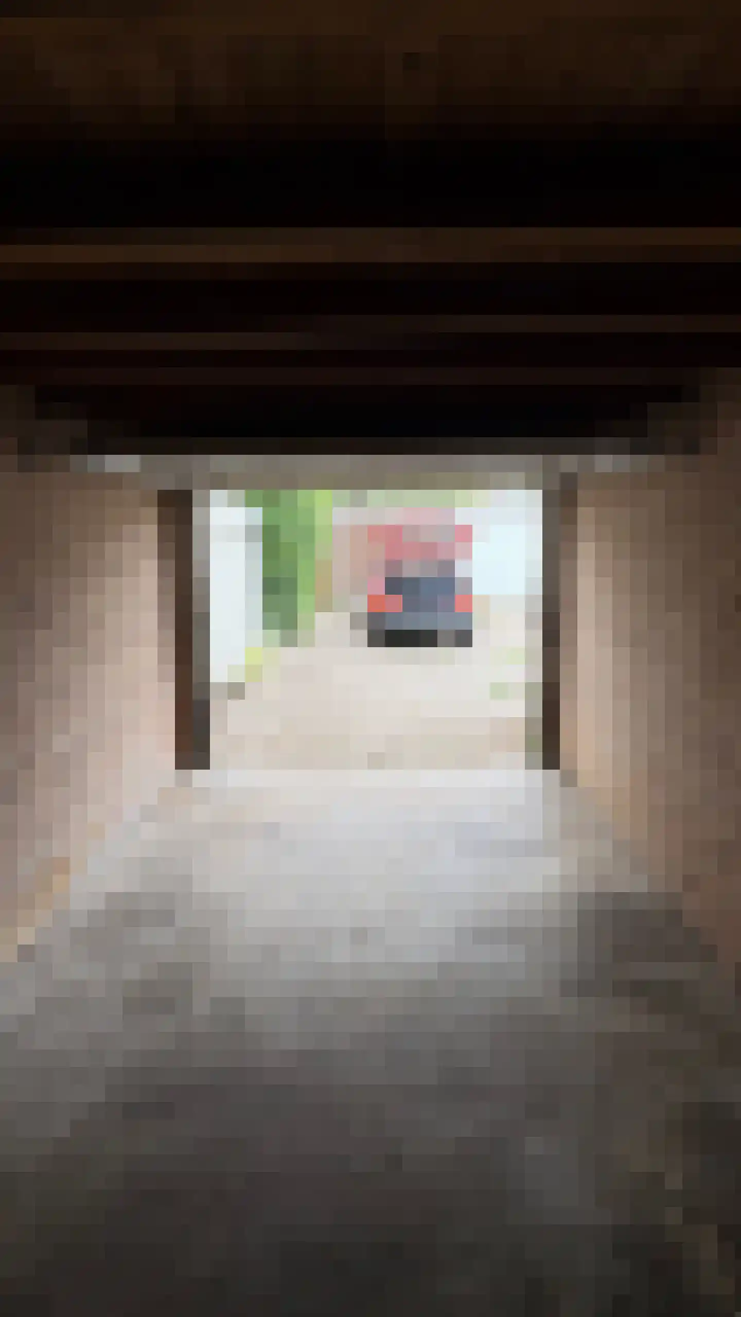 Ceintuurbaan 154 Bussum thumbnail 4