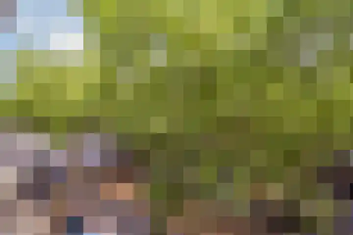 Ceintuurbaan 163 H Amsterdam thumbnail 14