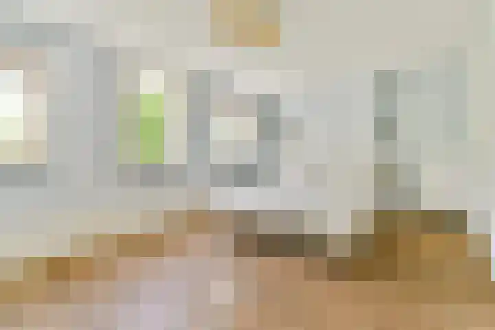Ceintuurbaan 163 H Amsterdam thumbnail 17