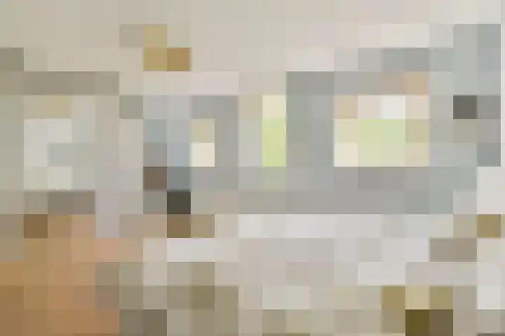 Ceintuurbaan 163 H Amsterdam thumbnail 18