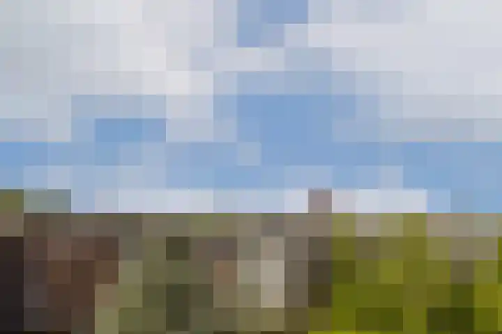 Ceintuurbaan 163 H Amsterdam thumbnail 32