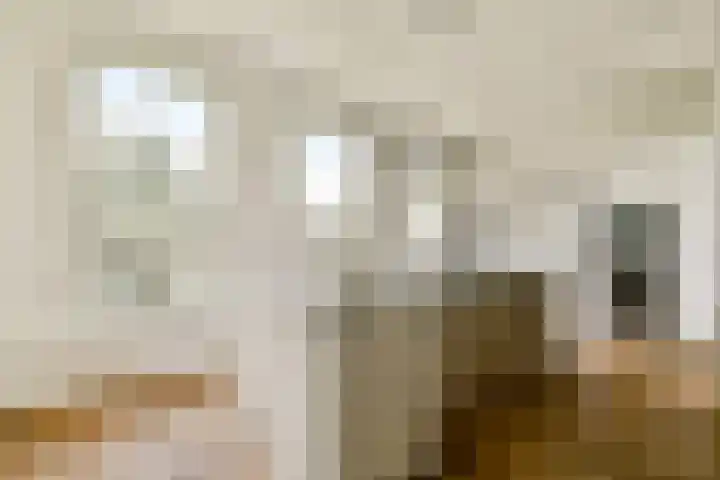 Ceintuurbaan 163 H Amsterdam thumbnail 9