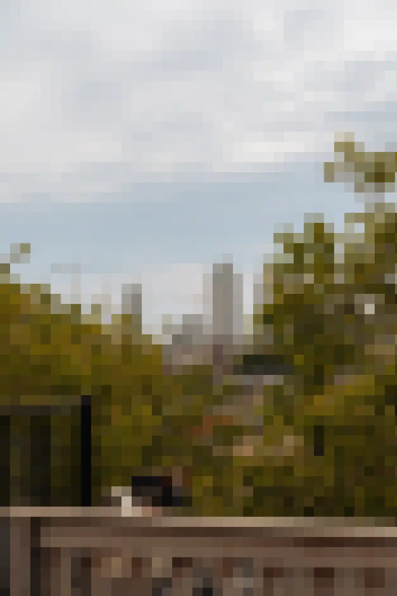 Ceintuurbaan 165 4 Amsterdam thumbnail 16