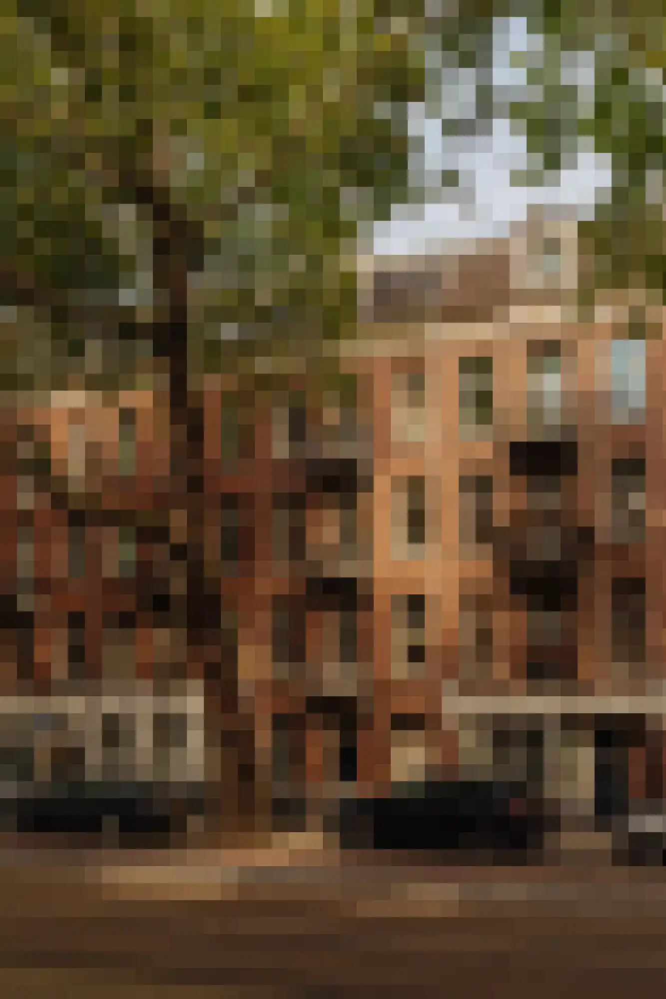 Ceintuurbaan 165 4 Amsterdam thumbnail 24