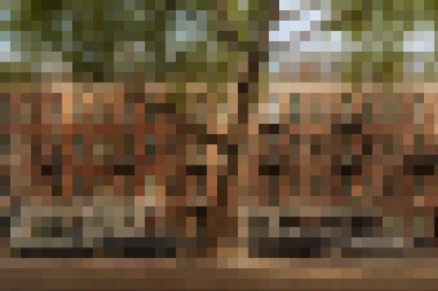 Ceintuurbaan 165 4 Amsterdam thumbnail 4