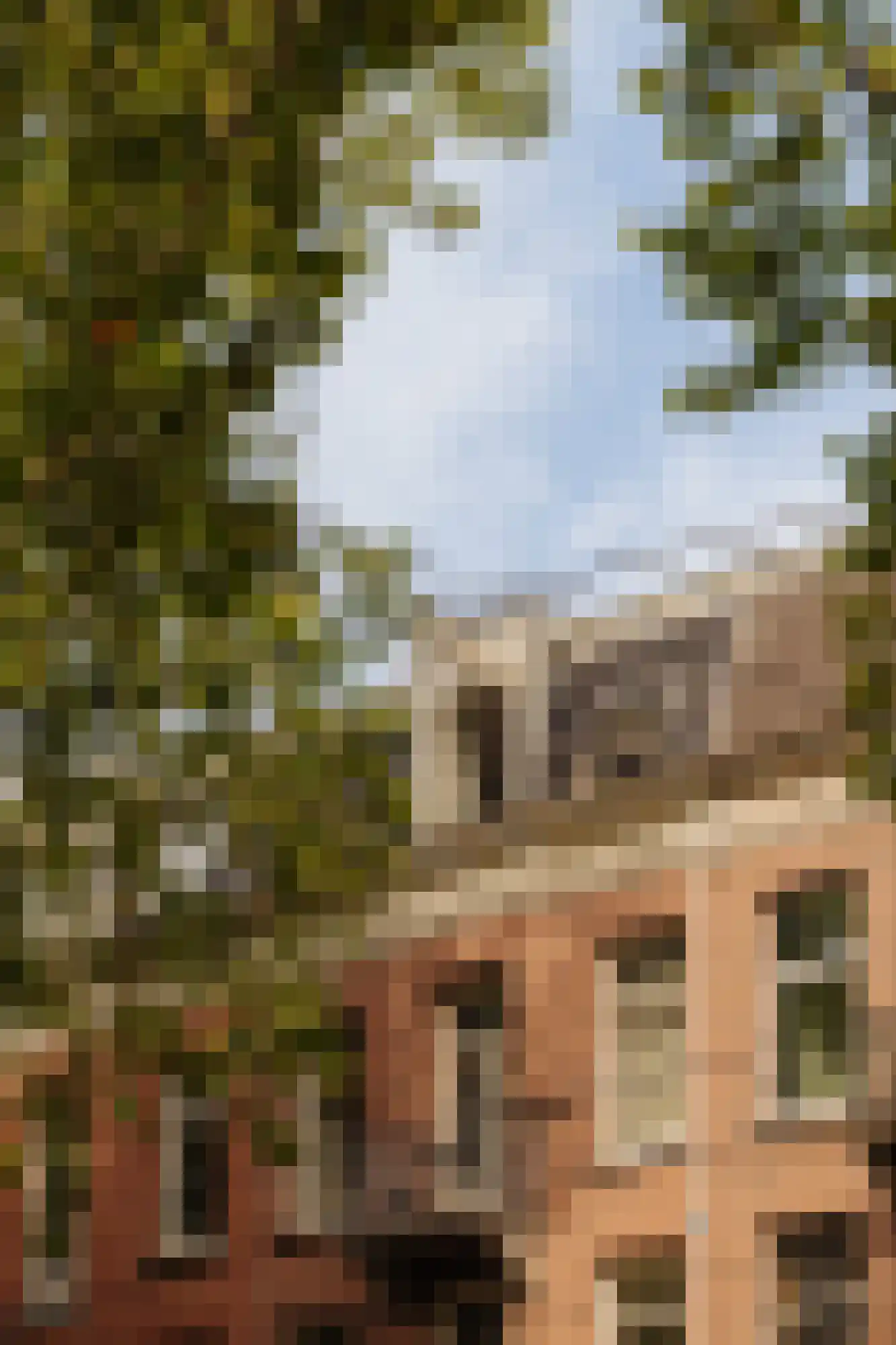 Ceintuurbaan 165 4 Amsterdam thumbnail 5