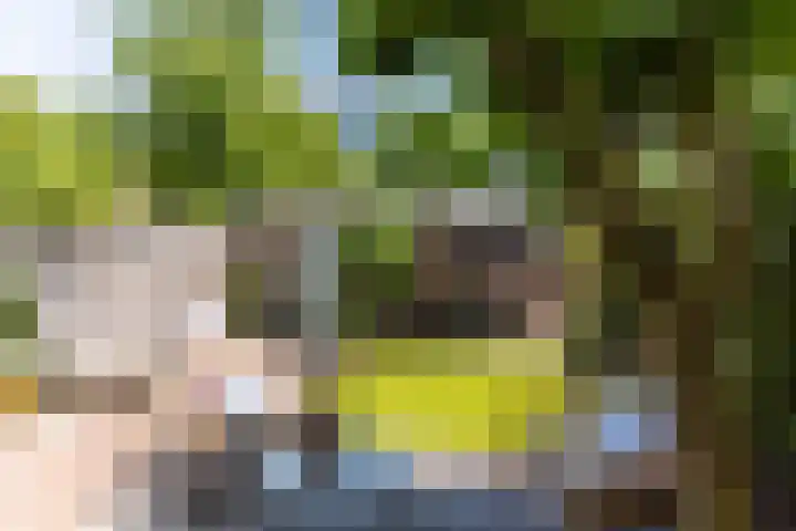 Ceintuurbaan 166 Bussum thumbnail 23