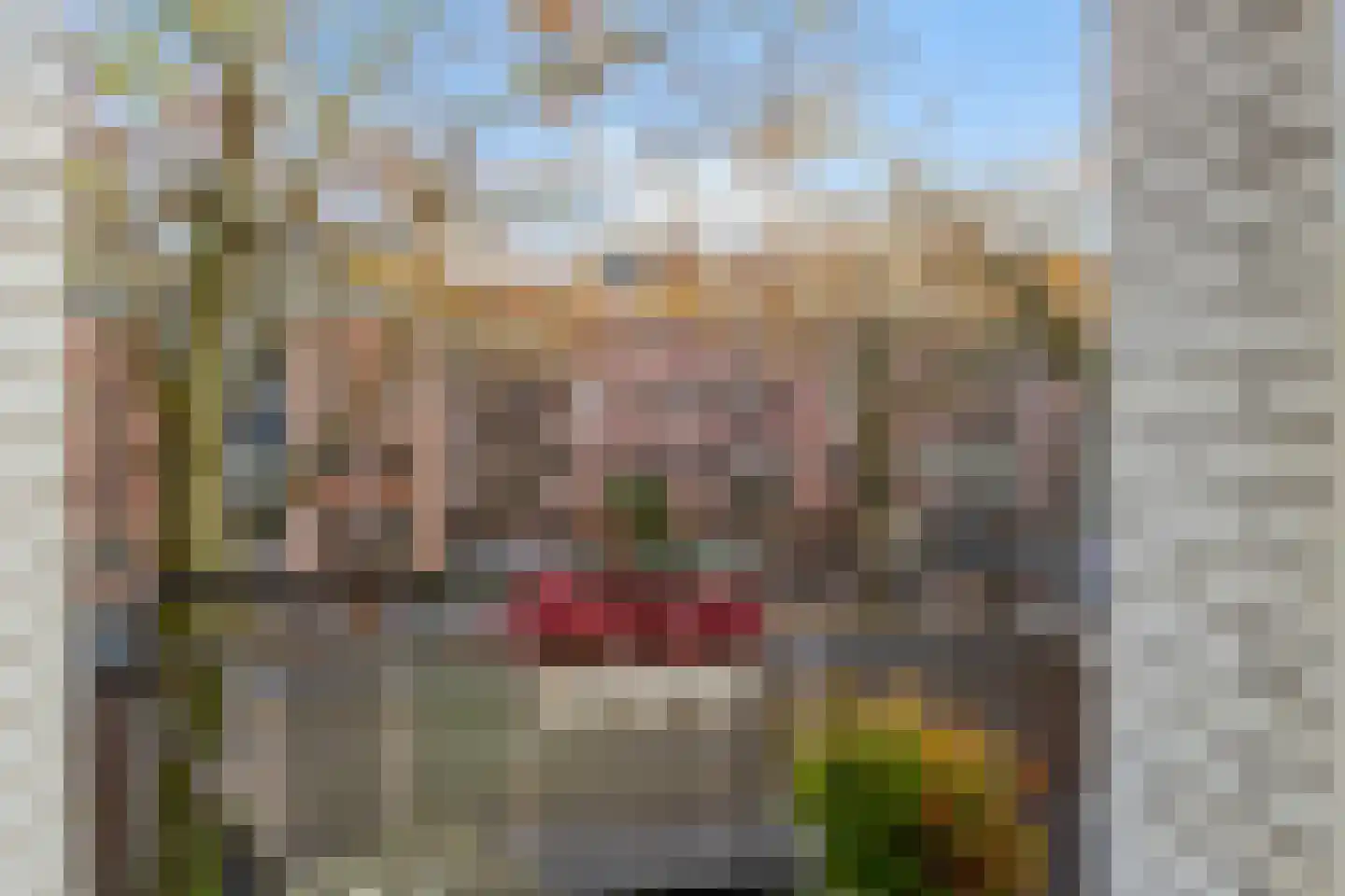 Ceintuurbaan 169 2 Amsterdam thumbnail 8