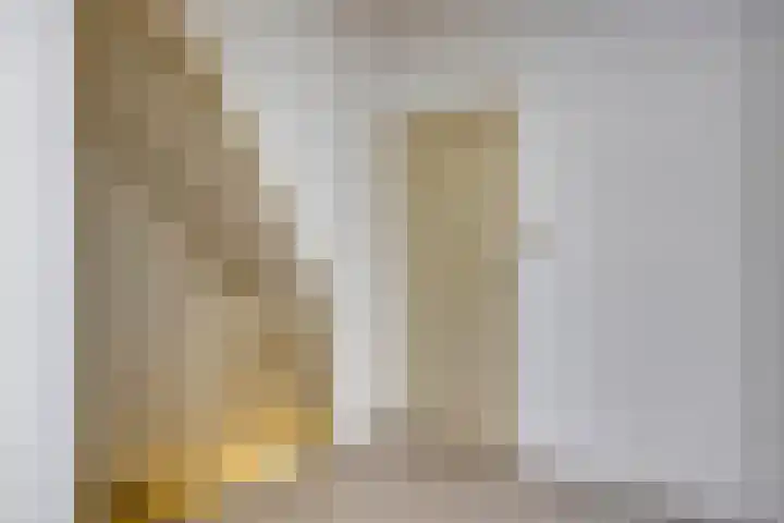 Ceintuurbaan 17 A Rotterdam thumbnail 12