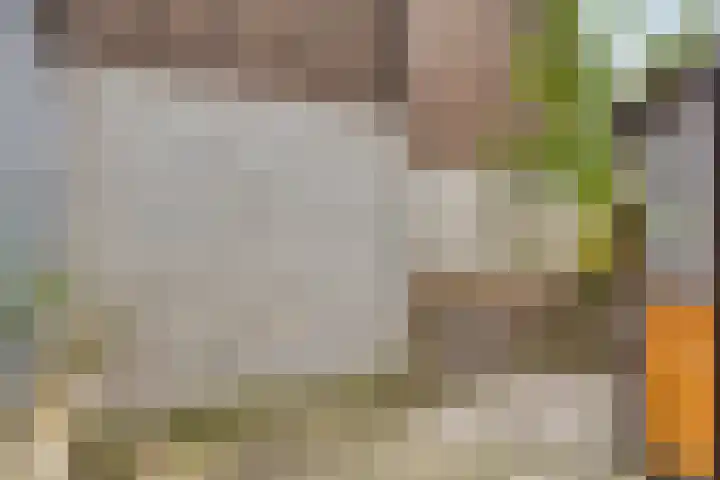 Ceintuurbaan 17 A Rotterdam thumbnail 19
