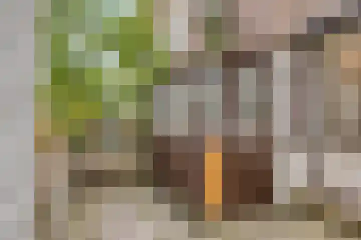 Ceintuurbaan 17 A Rotterdam thumbnail 21