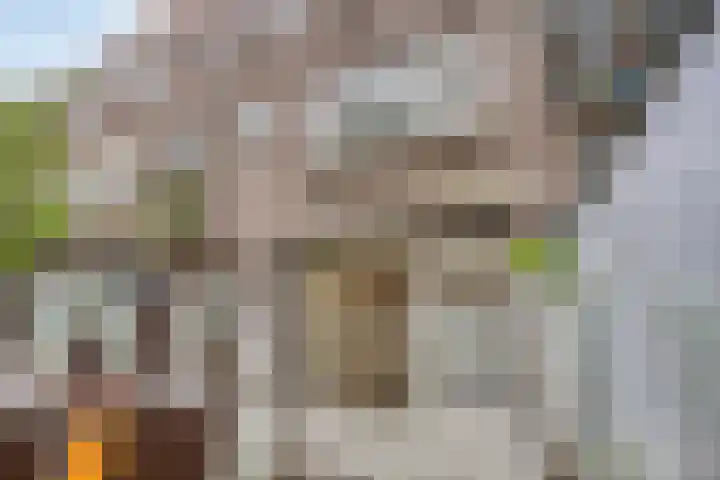Ceintuurbaan 17 A Rotterdam thumbnail 23