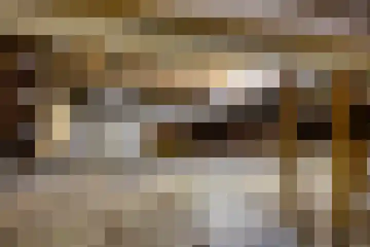Ceintuurbaan 17 A Rotterdam thumbnail 24