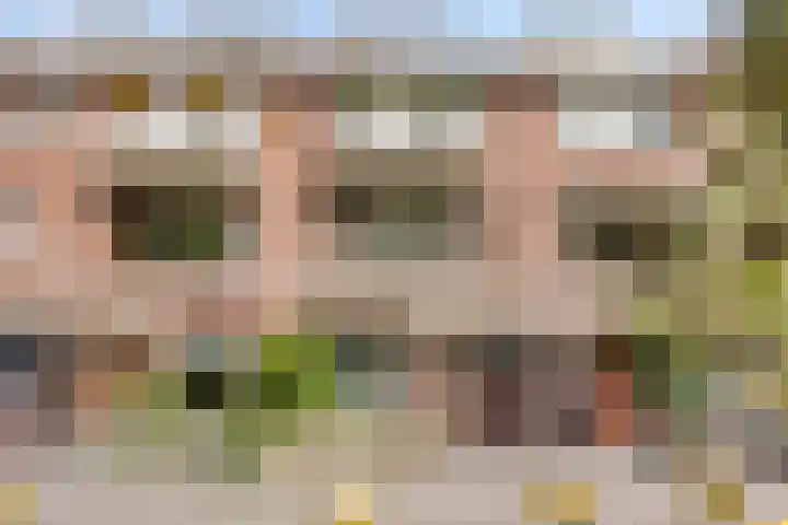 Ceintuurbaan 17 A Rotterdam thumbnail 25