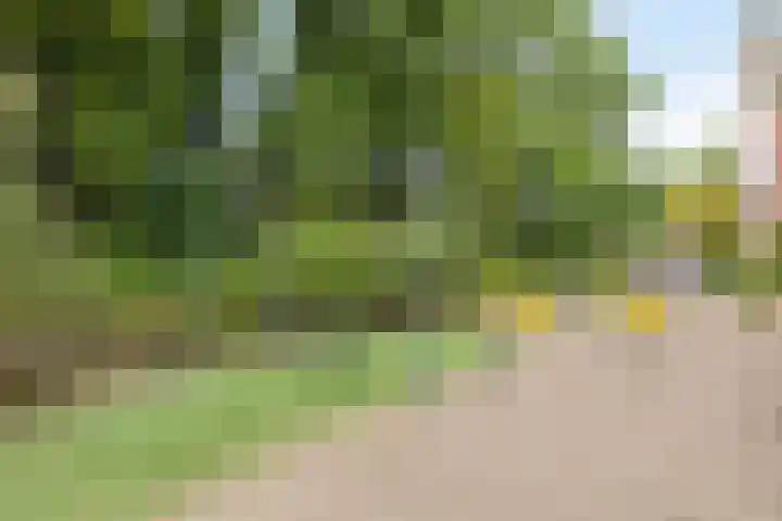 Ceintuurbaan 17 A Rotterdam thumbnail 26