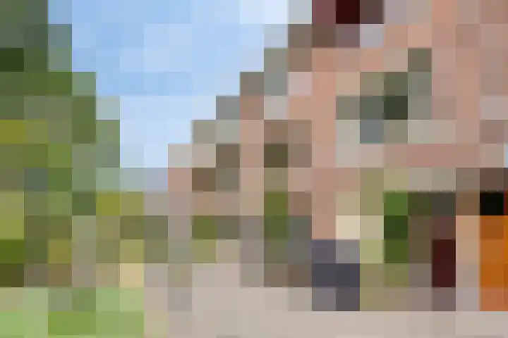 Ceintuurbaan 17 A Rotterdam thumbnail 33