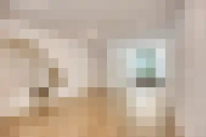 Ceintuurbaan 17 A Rotterdam thumbnail 5