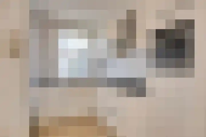 Ceintuurbaan 17 A Rotterdam thumbnail 9
