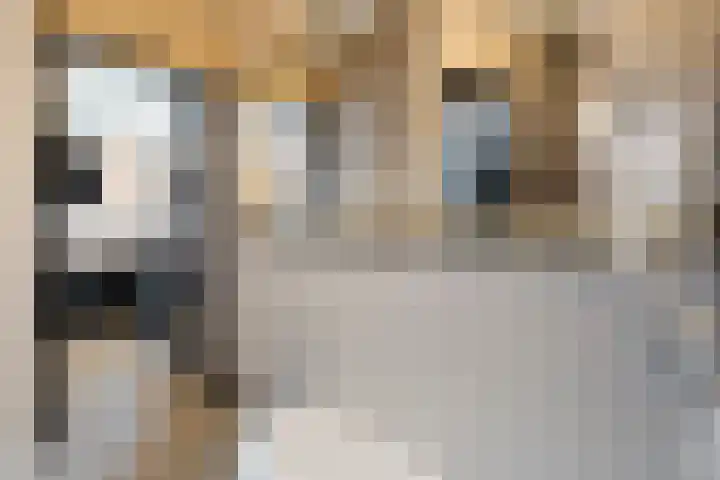 Ceintuurbaan 18 Raalte thumbnail 15