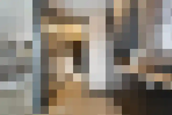 Ceintuurbaan 18 Raalte thumbnail 16
