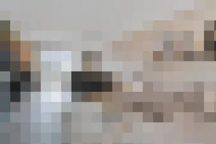 Ceintuurbaan 18 Raalte thumbnail 21