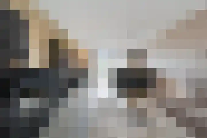 Ceintuurbaan 18 Raalte thumbnail 22