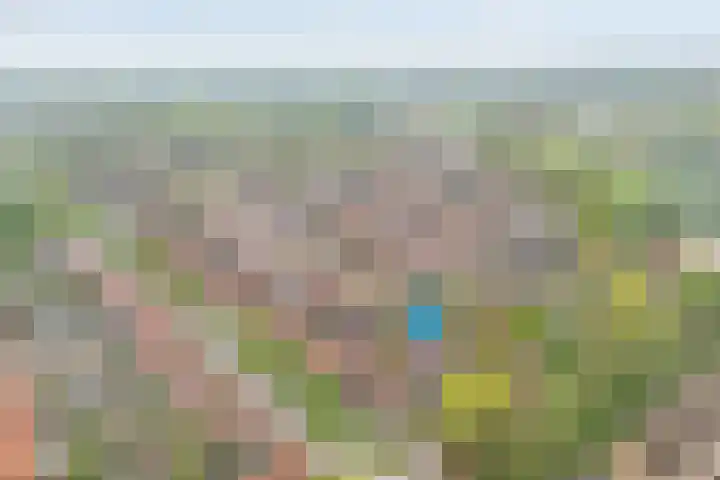 Ceintuurbaan 18 Raalte thumbnail 4