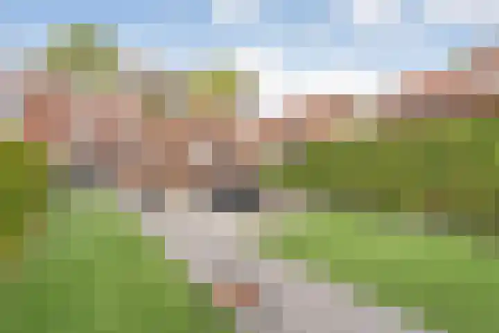 Ceintuurbaan 18 Raalte thumbnail 49