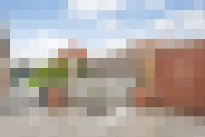 Ceintuurbaan 18 Raalte thumbnail 54