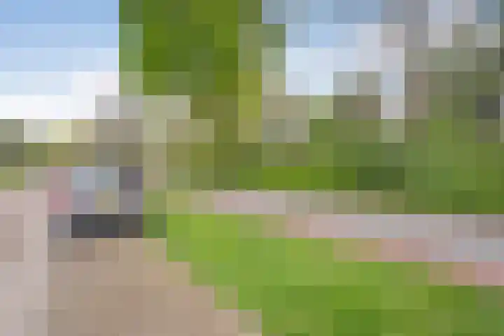 Ceintuurbaan 18 Raalte thumbnail 9