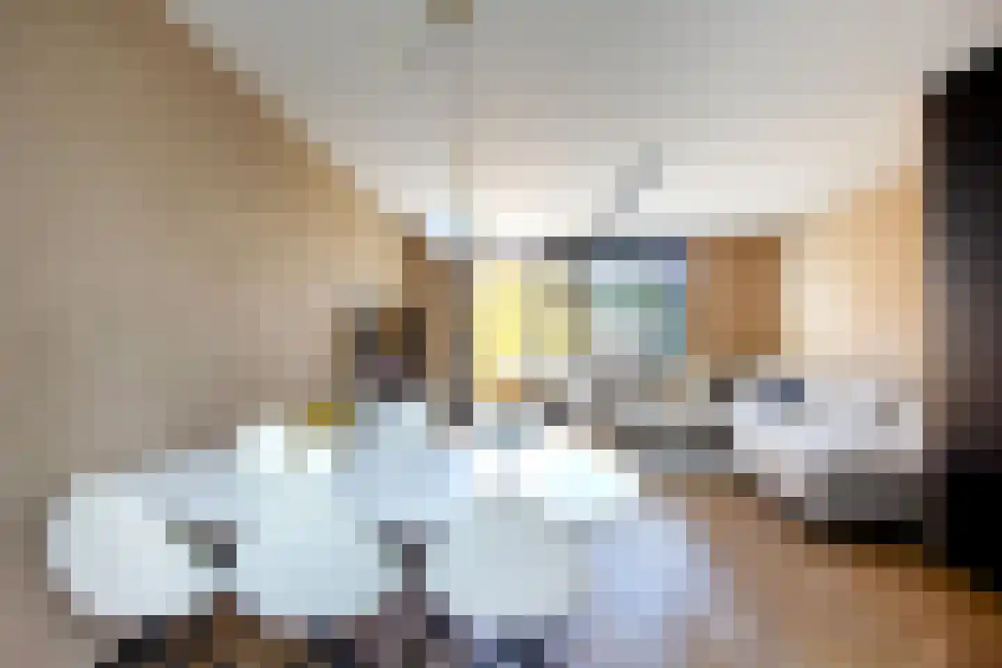 Ceintuurbaan 19 Haarlem thumbnail 5