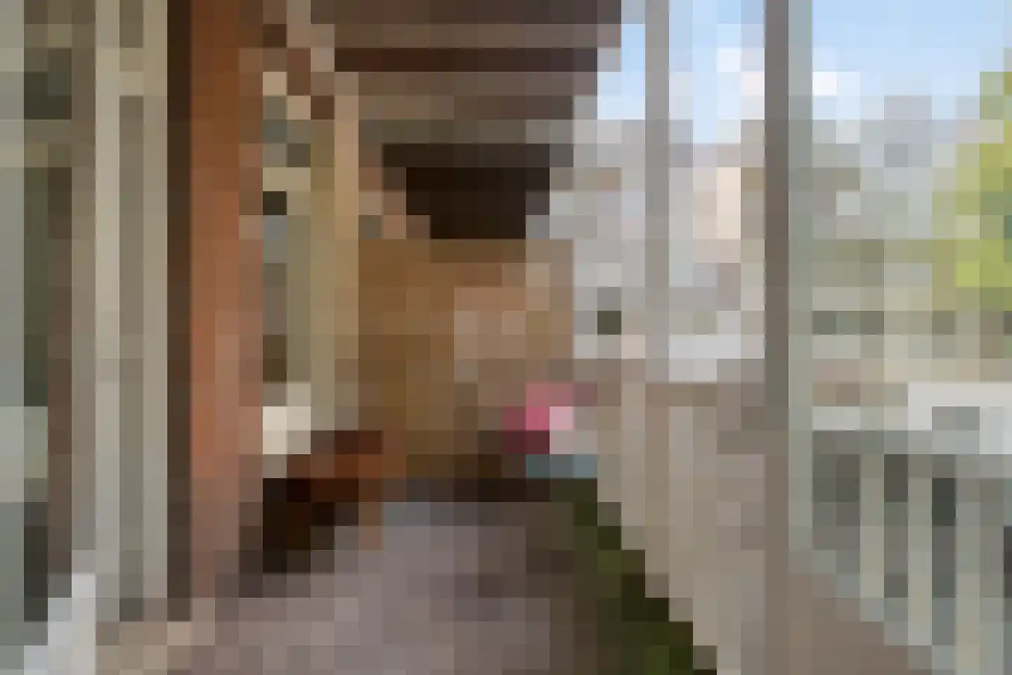 Ceintuurbaan 199 1 Amsterdam thumbnail 5