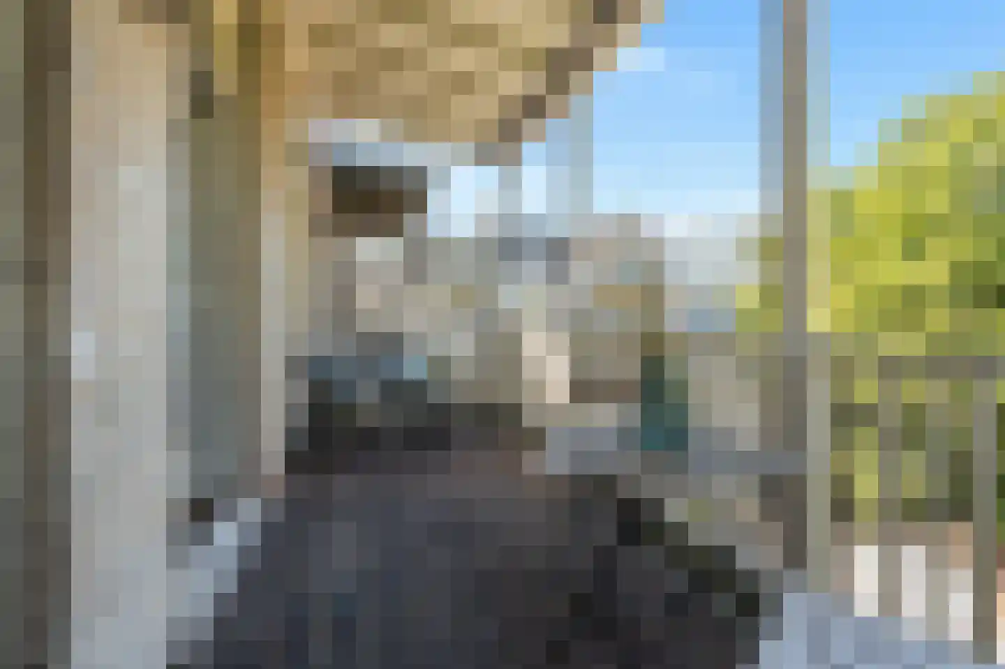 Ceintuurbaan 199 3 Amsterdam thumbnail 15
