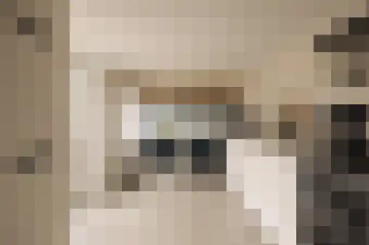 Ceintuurbaan 2 Huizen thumbnail 11