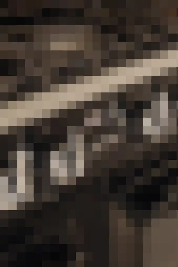 Ceintuurbaan 2 Huizen thumbnail 12