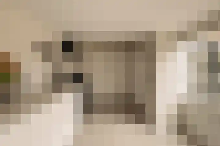 Ceintuurbaan 2 Huizen thumbnail 13