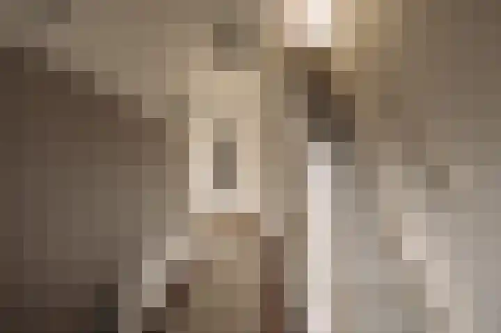 Ceintuurbaan 2 Huizen thumbnail 14