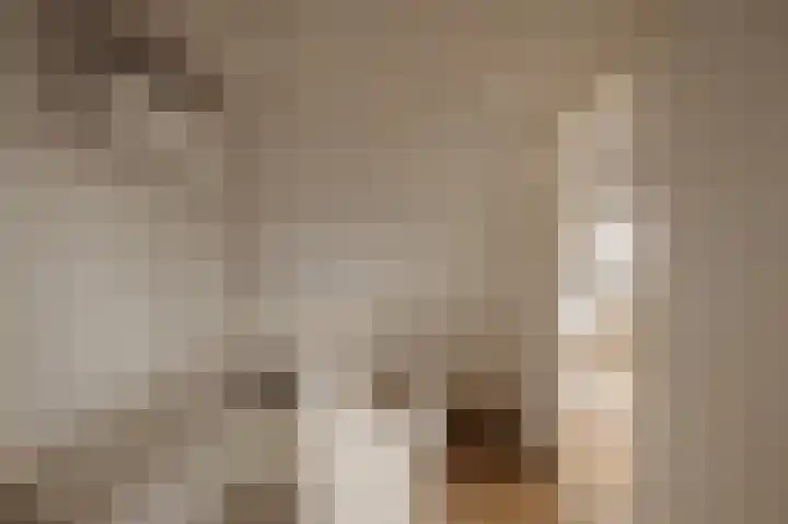 Ceintuurbaan 2 Huizen thumbnail 15