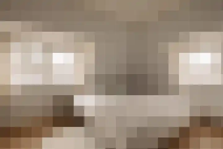 Ceintuurbaan 2 Huizen thumbnail 16