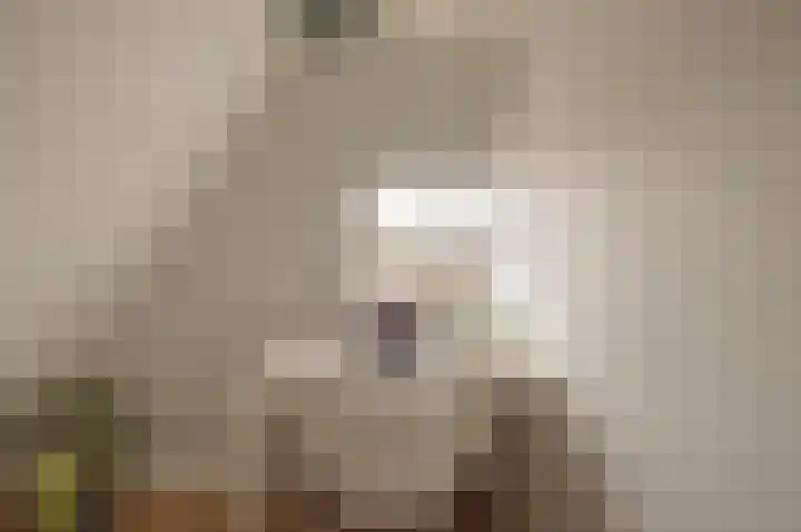 Ceintuurbaan 2 Huizen thumbnail 18