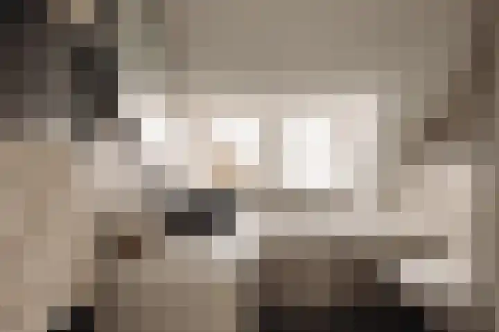Ceintuurbaan 2 Huizen thumbnail 19