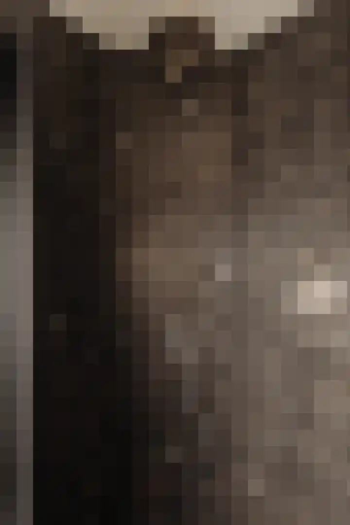 Ceintuurbaan 2 Huizen thumbnail 20