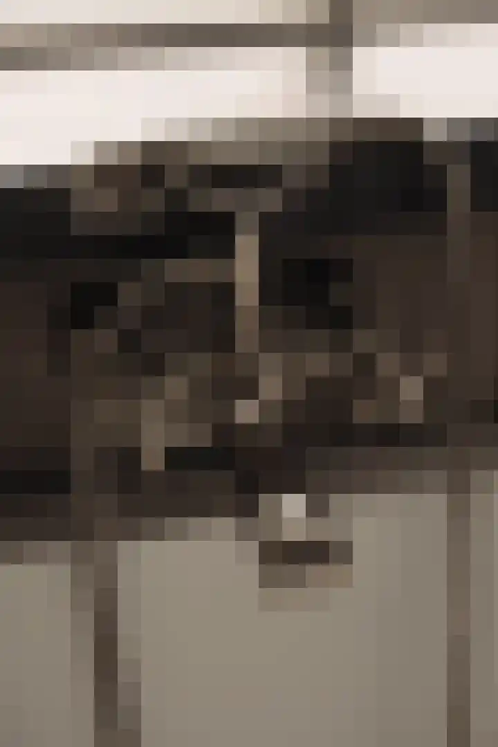 Ceintuurbaan 2 Huizen thumbnail 21