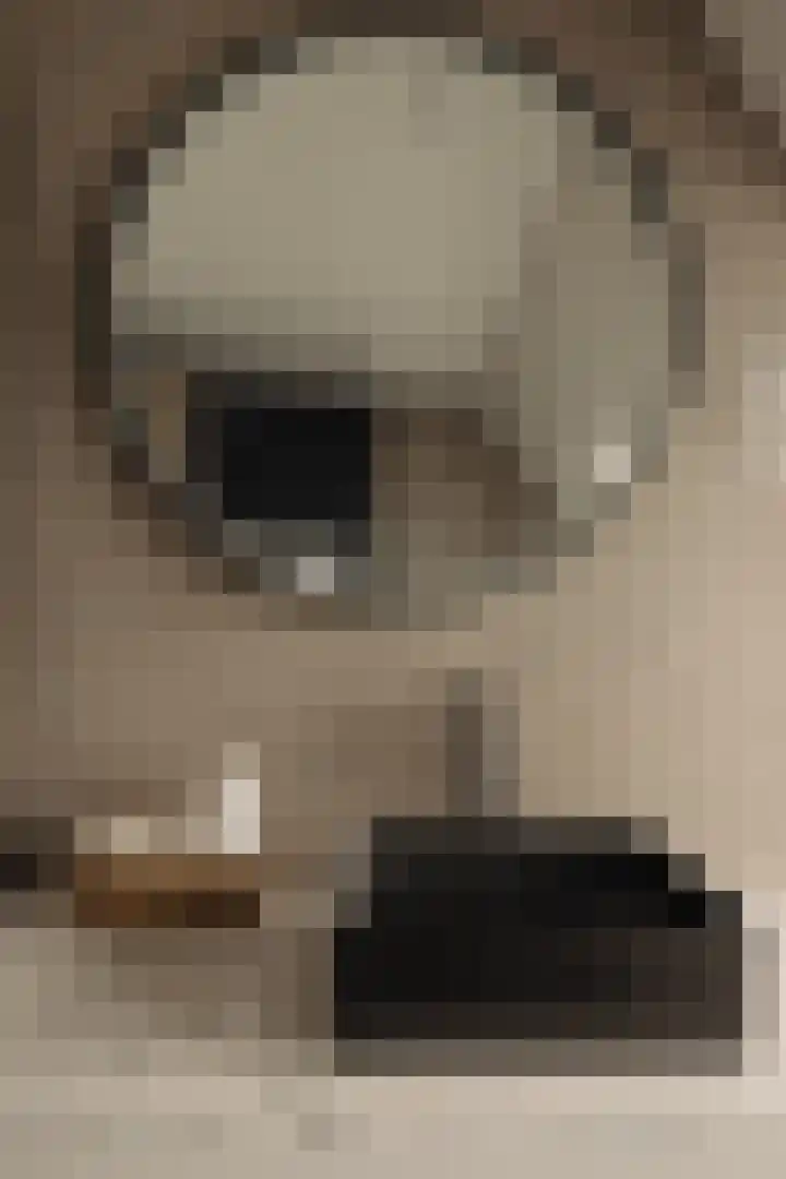Ceintuurbaan 2 Huizen thumbnail 22