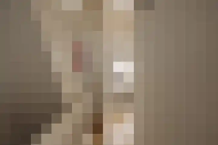 Ceintuurbaan 2 Huizen thumbnail 23