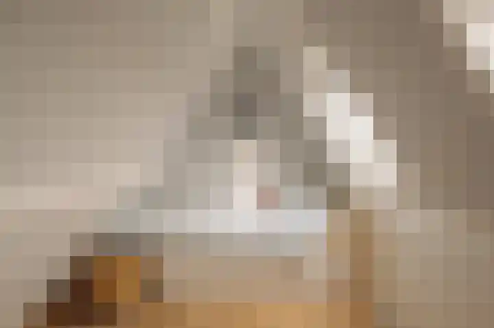 Ceintuurbaan 2 Huizen thumbnail 24